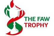 Welsh Trophy logo
