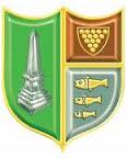 Bodmin Town logo